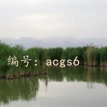 Ŀ