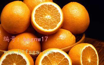 Ҫ
