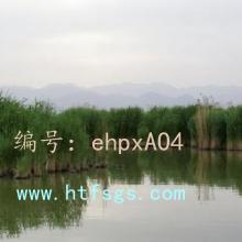 ǧ