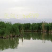 ջ