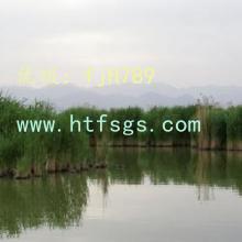 ļ