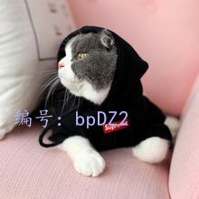 벻