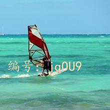 ޿