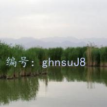 Բ