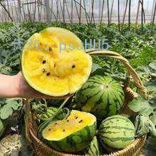 Ļ