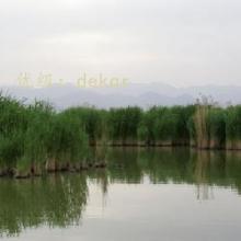 ļ