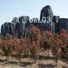 ļ