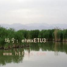 ļ