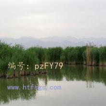ļ