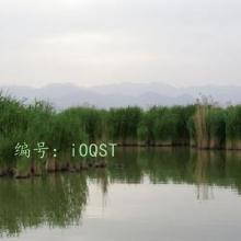 ļ