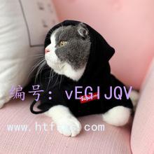 ЧӦ