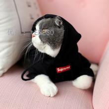 벻