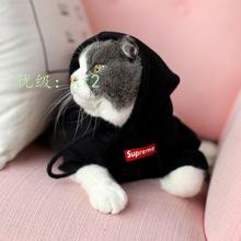 벻
