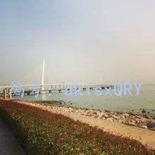 ׶